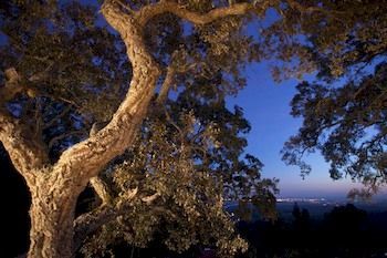 Vilafoia Guest house 3*