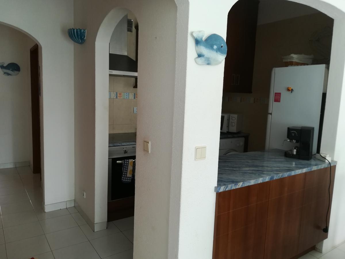 Apartment - Elimar 1 T1