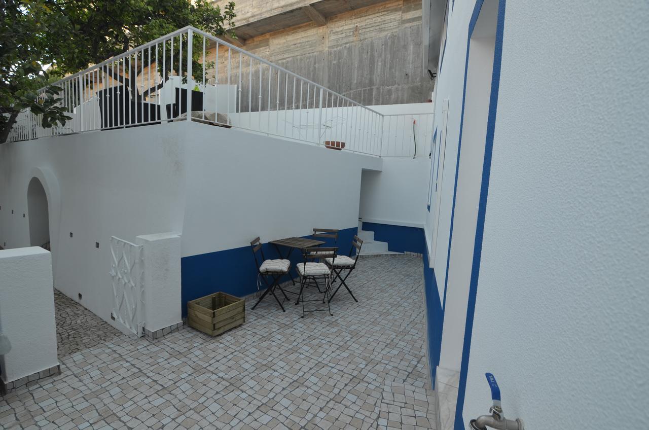 Patios Marias - Rosas *