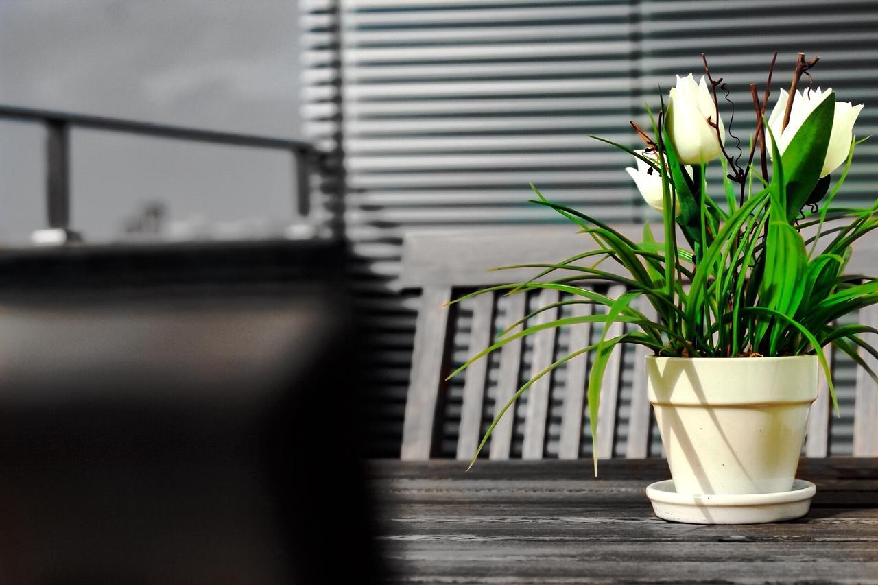 Apartamento Da Lapa Porto