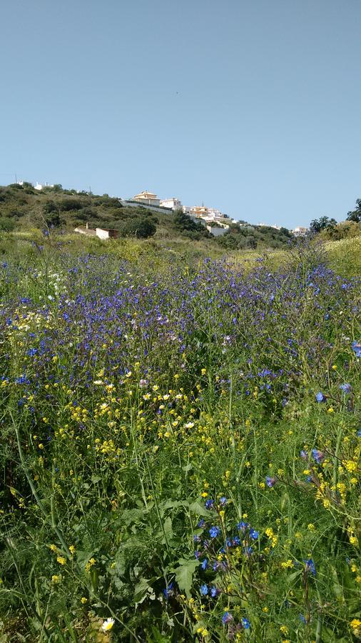 Casa Cereja 'adults Only' Bed and breakfast Albufeira