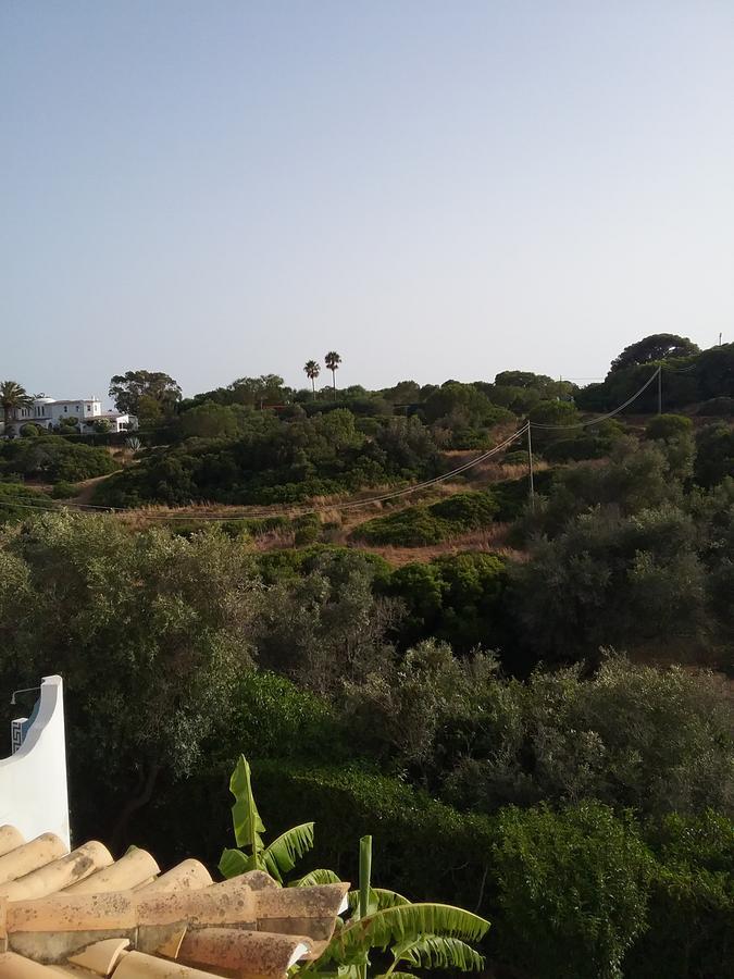 Bed and breakfast Casa Cereja 'adults Only' *