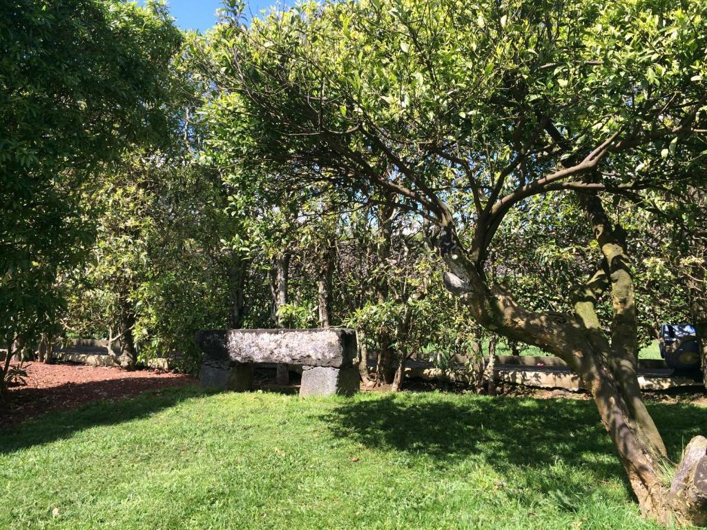 Quinta De Santa Clara *
