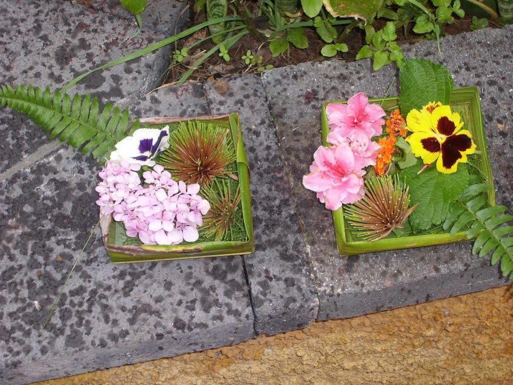 Villa Dazkarizeh73 Ribeira Brava
