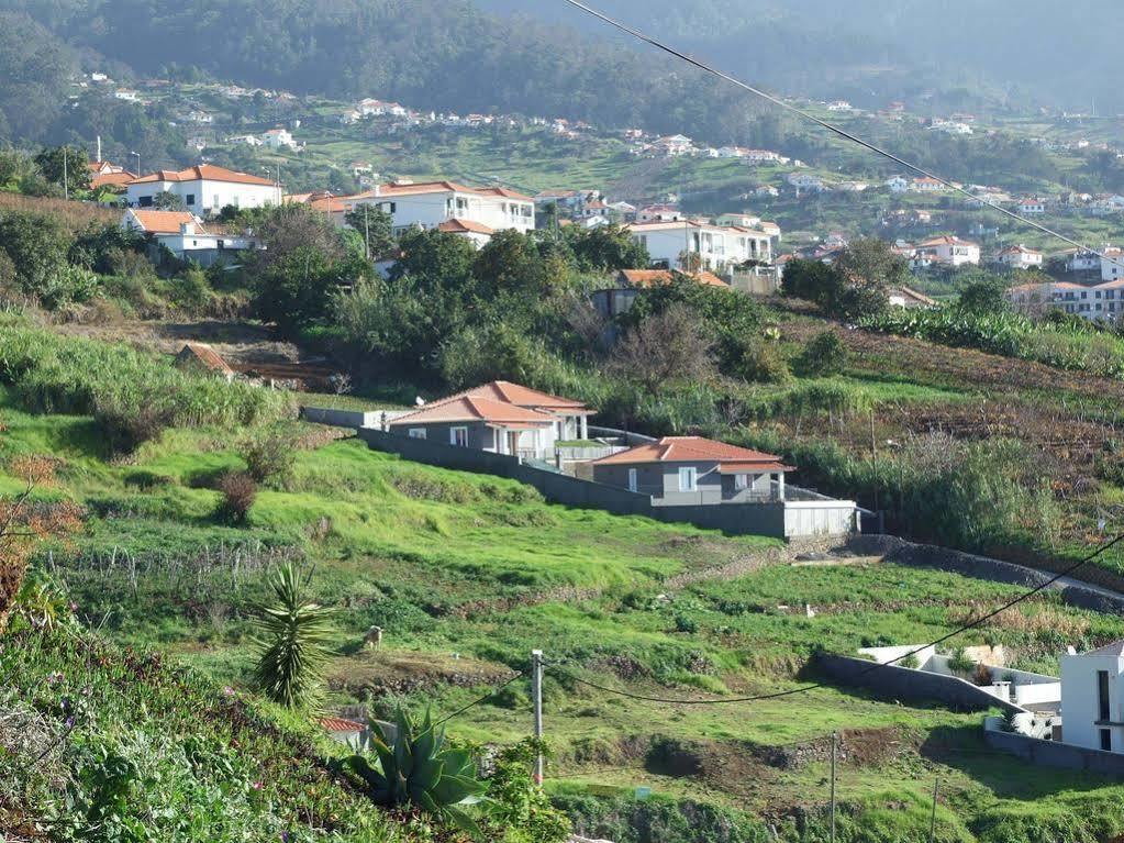Paraiso Flores *