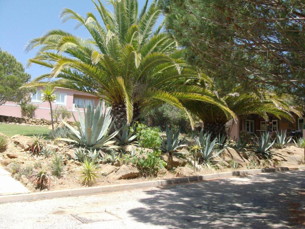 Belver Porto Dona Maria Praia Da Luz