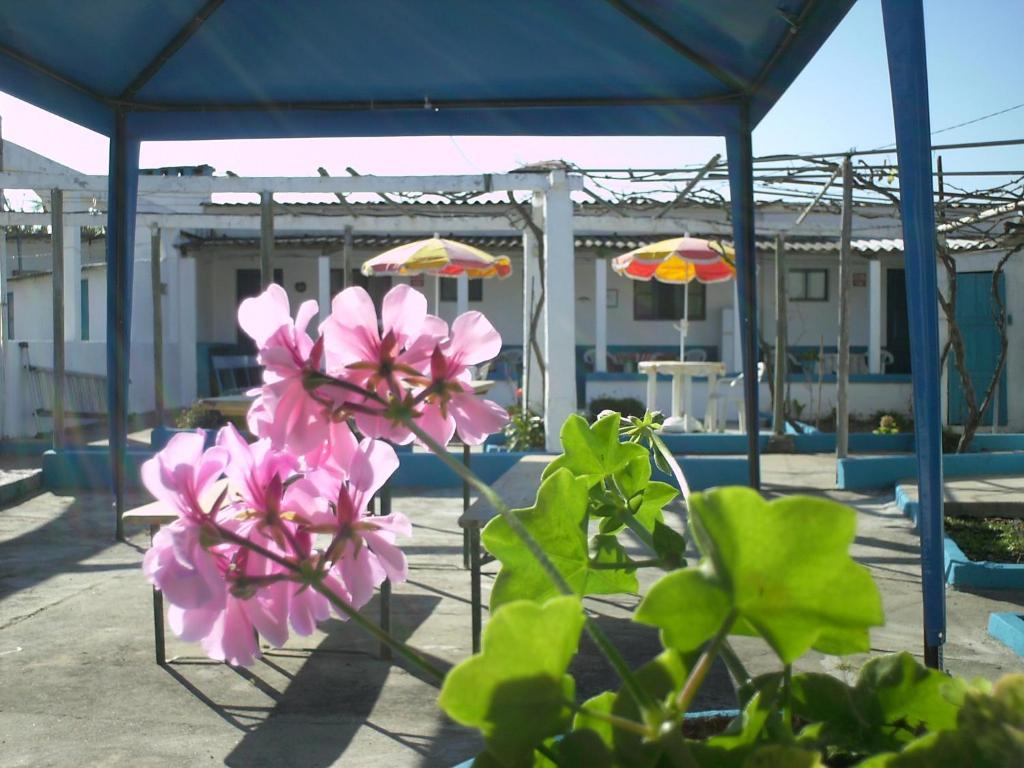 Hospedagem Chave D'ouro Guest house *