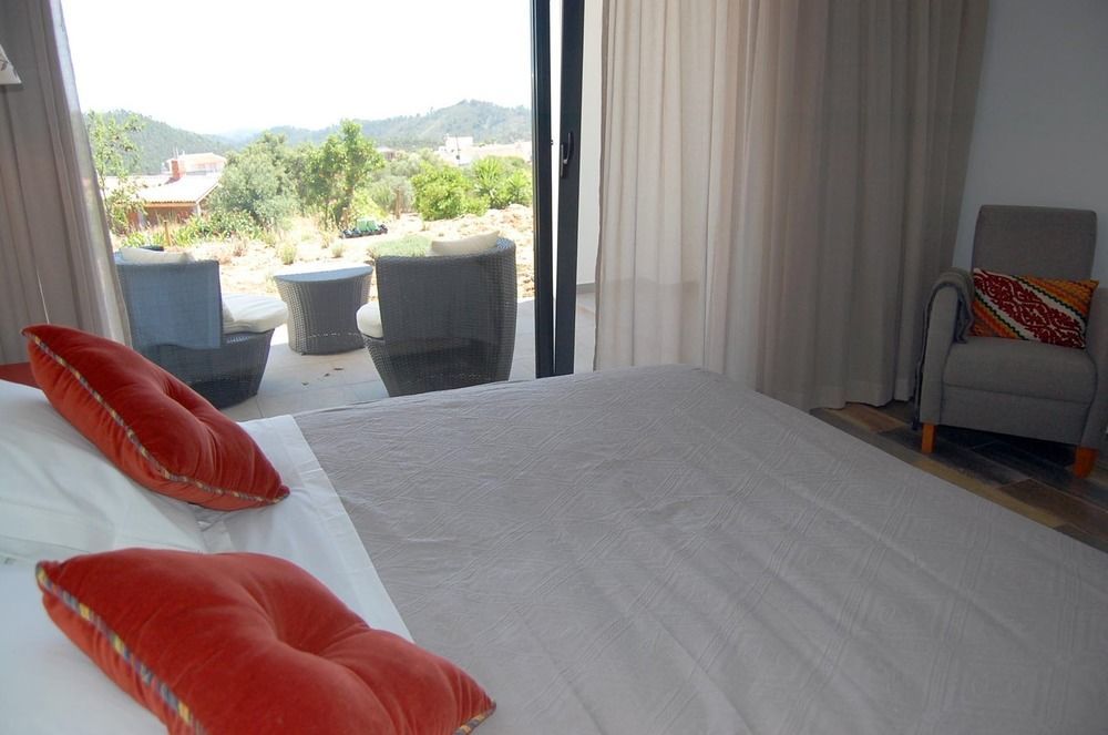 Farm stay Vinha Do Gaio *