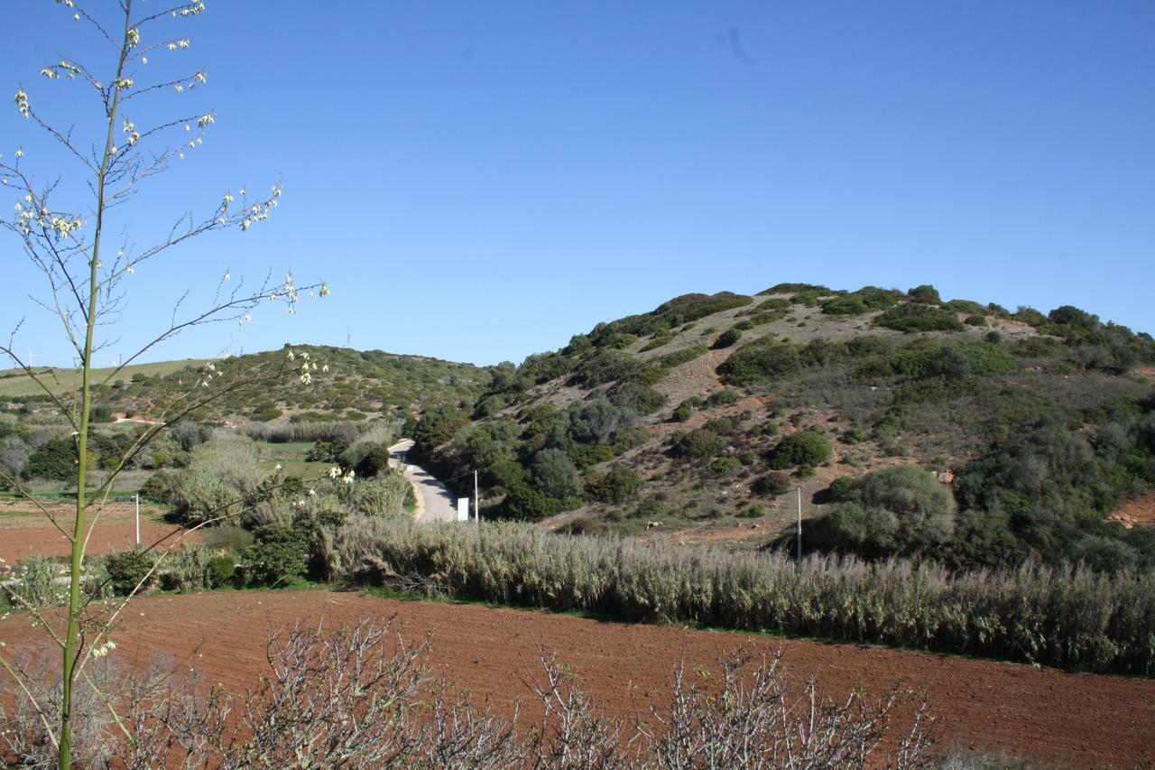 Albergue On The Hill *