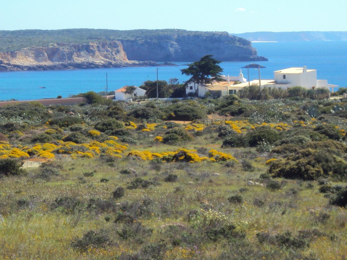 Casa Grilo Guest house Sagres