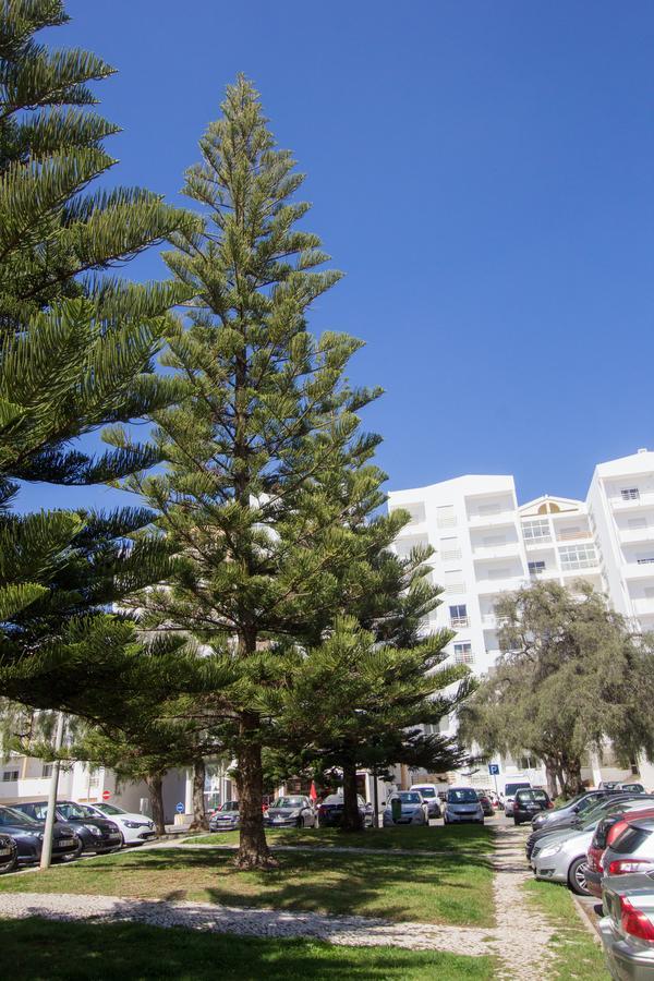 Apartamento Casa Da Lagos