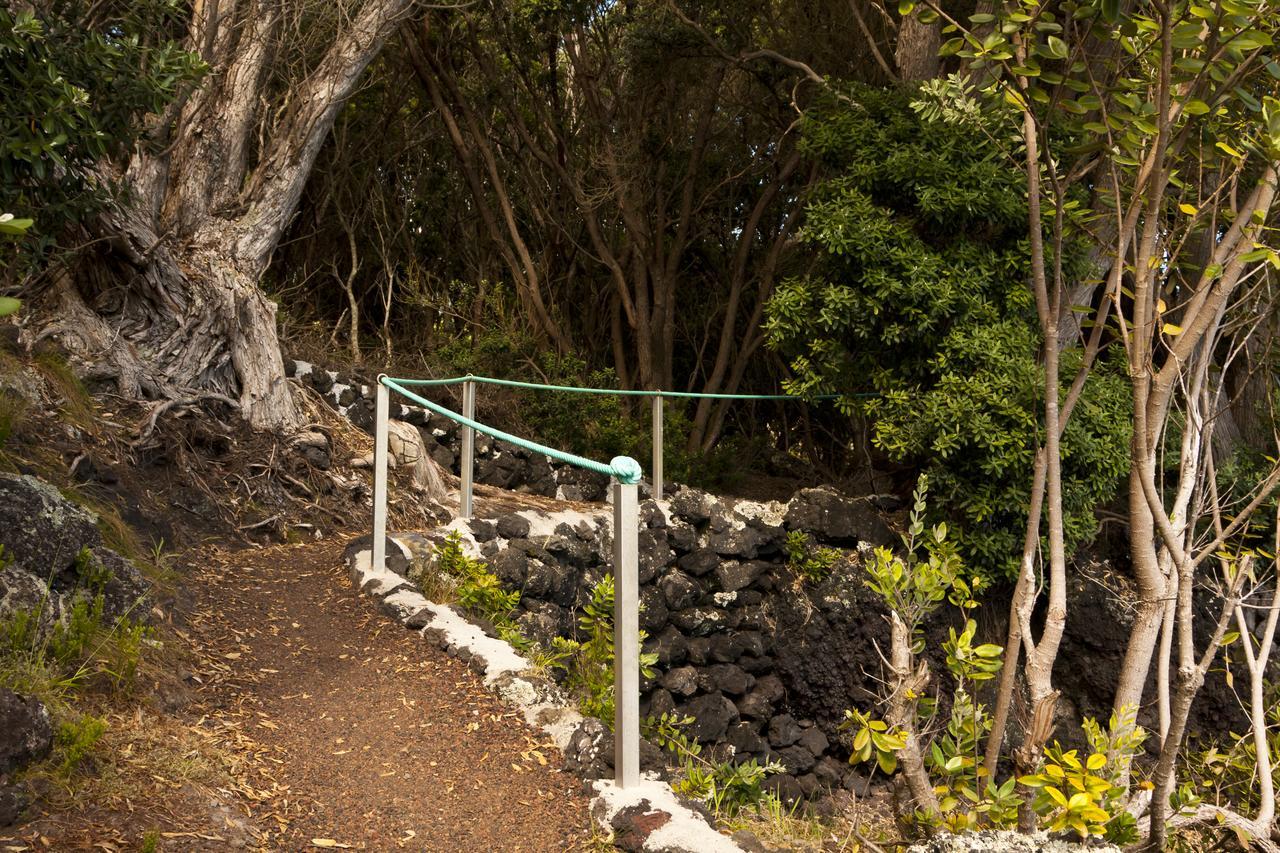 Aldeia Da Fonte Lajes do Pico