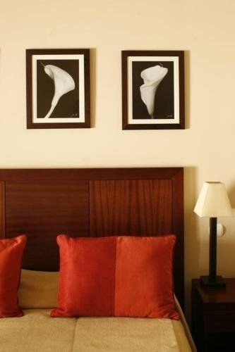 Hotel Neat Avenida