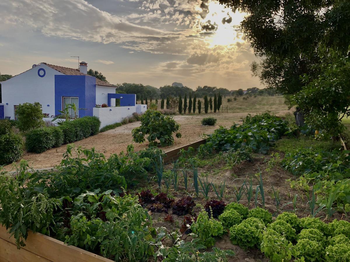 Monte Do Zambujeiro Guest house