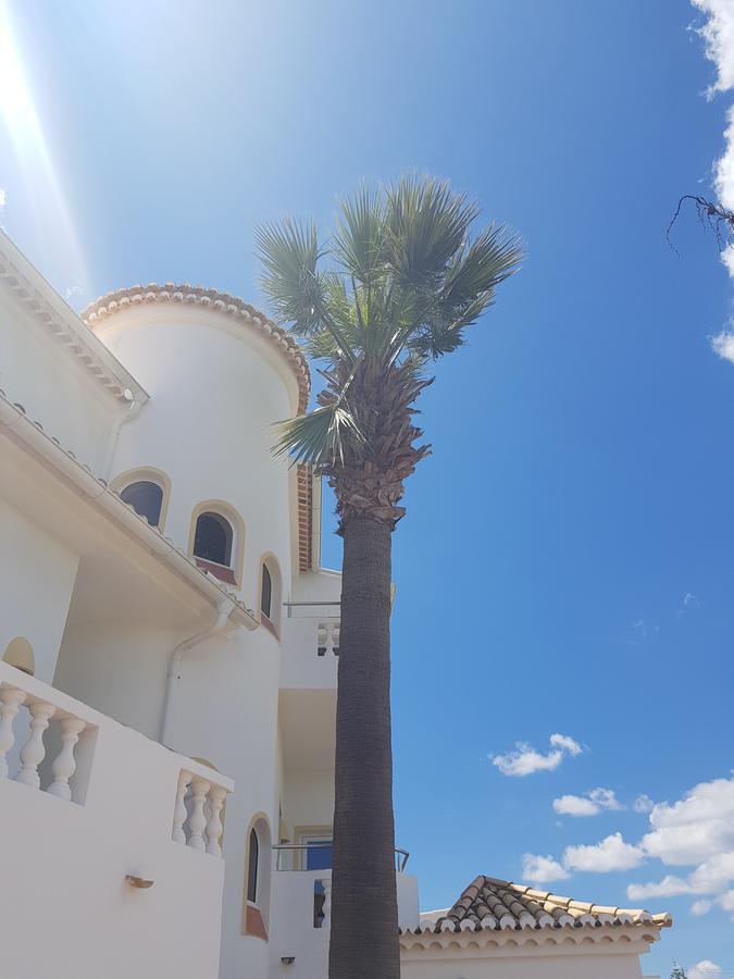 Villa Channa - Adults Only Albufeira