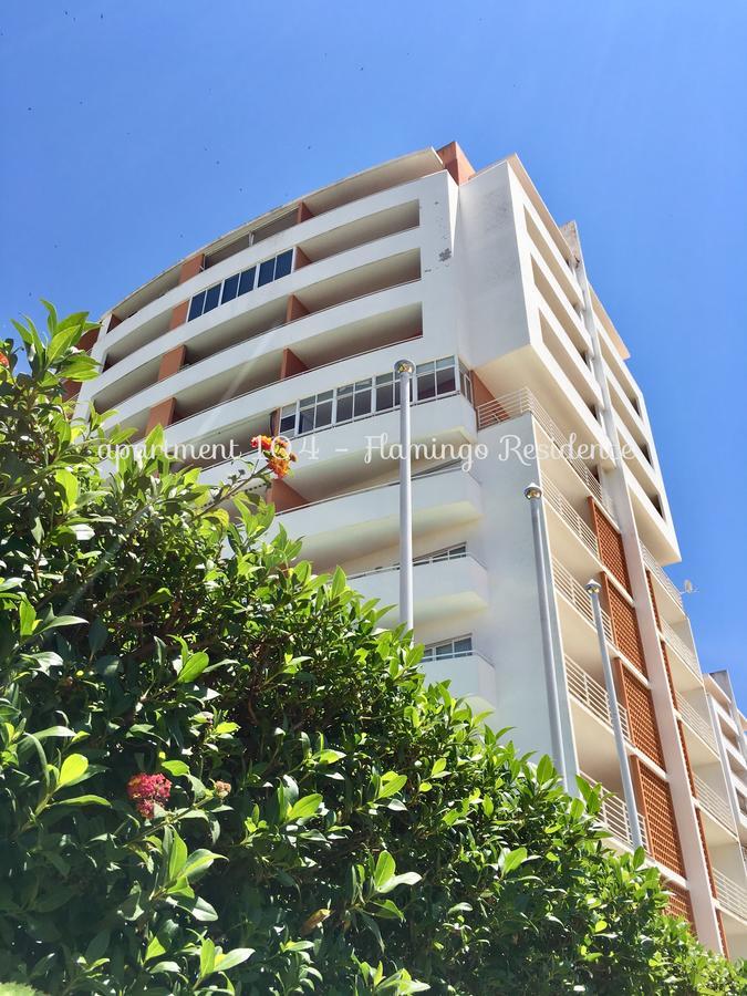 104 - Flamingo * Portimão
