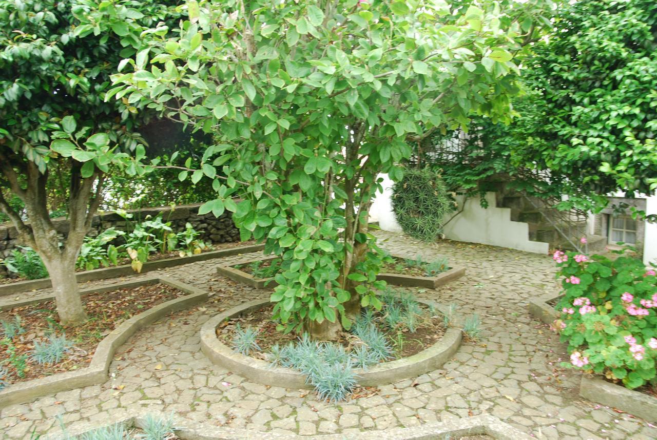 Farm stay Quinta Dos Figos 