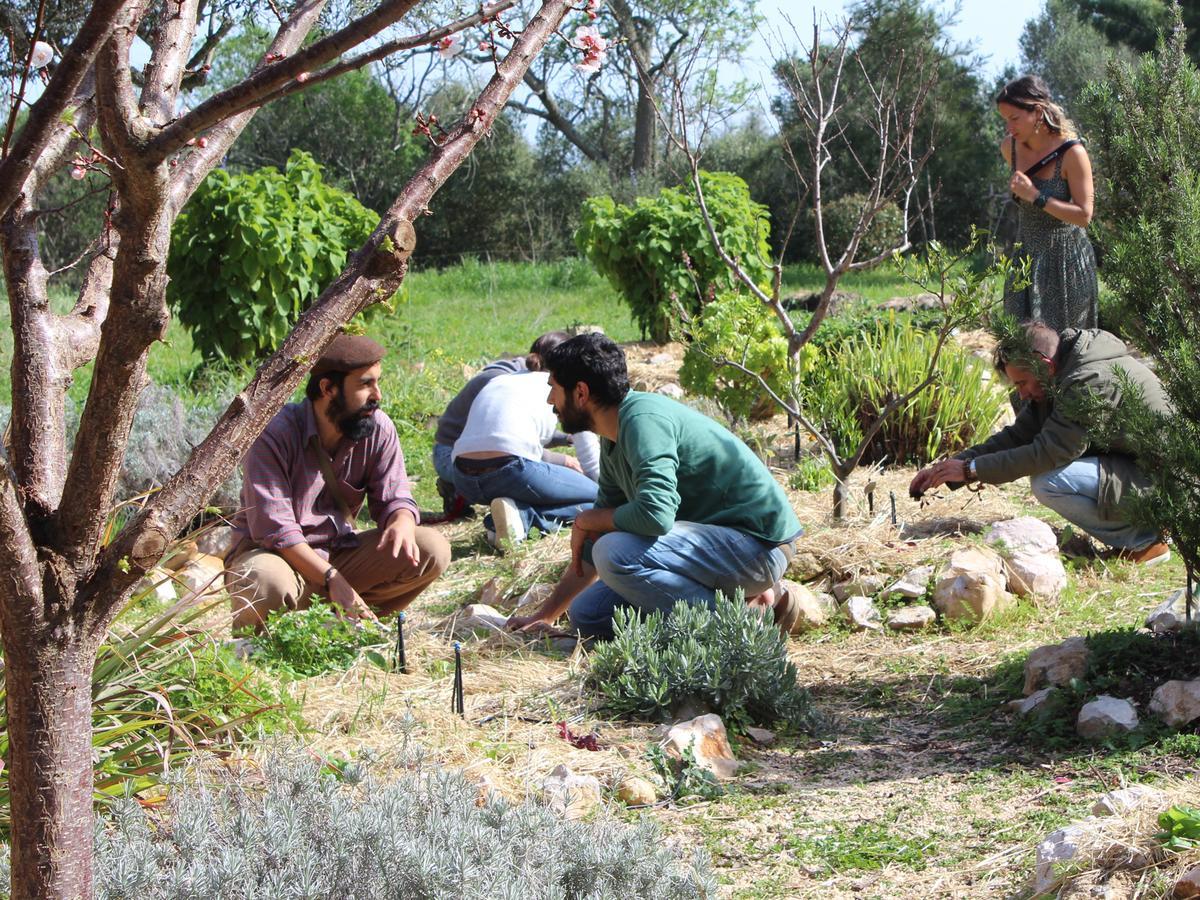 Casa Do Vale Da Lama Ecohotel & Retreat Centre In A Farm