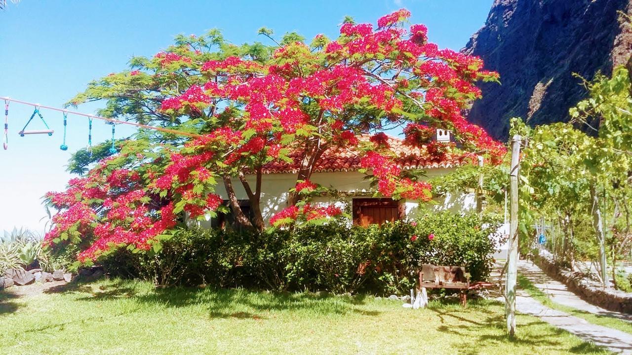 Holiday home Faja Dos Padres