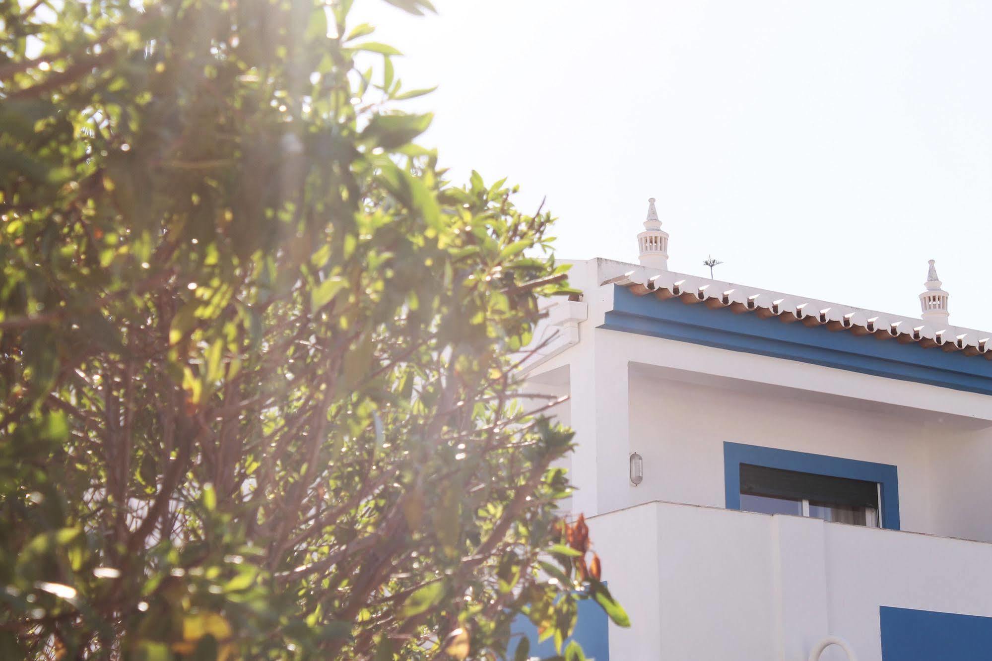 Oasis Apartment