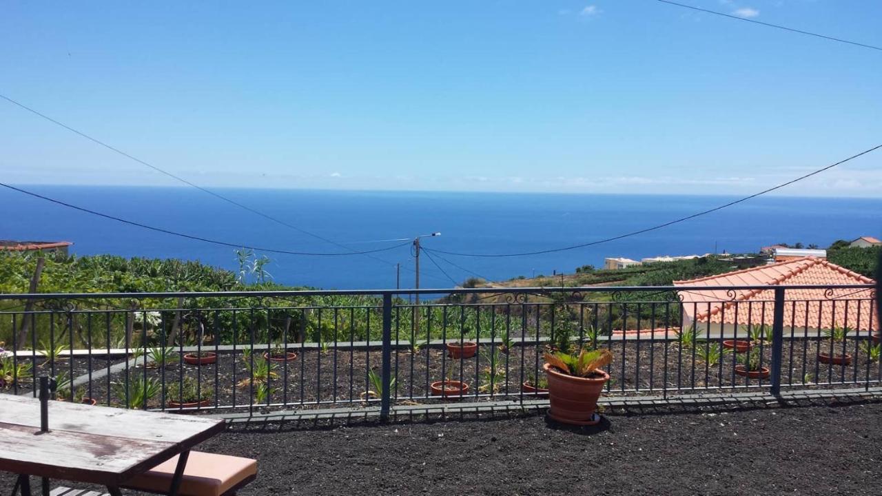 Paraiso Flores