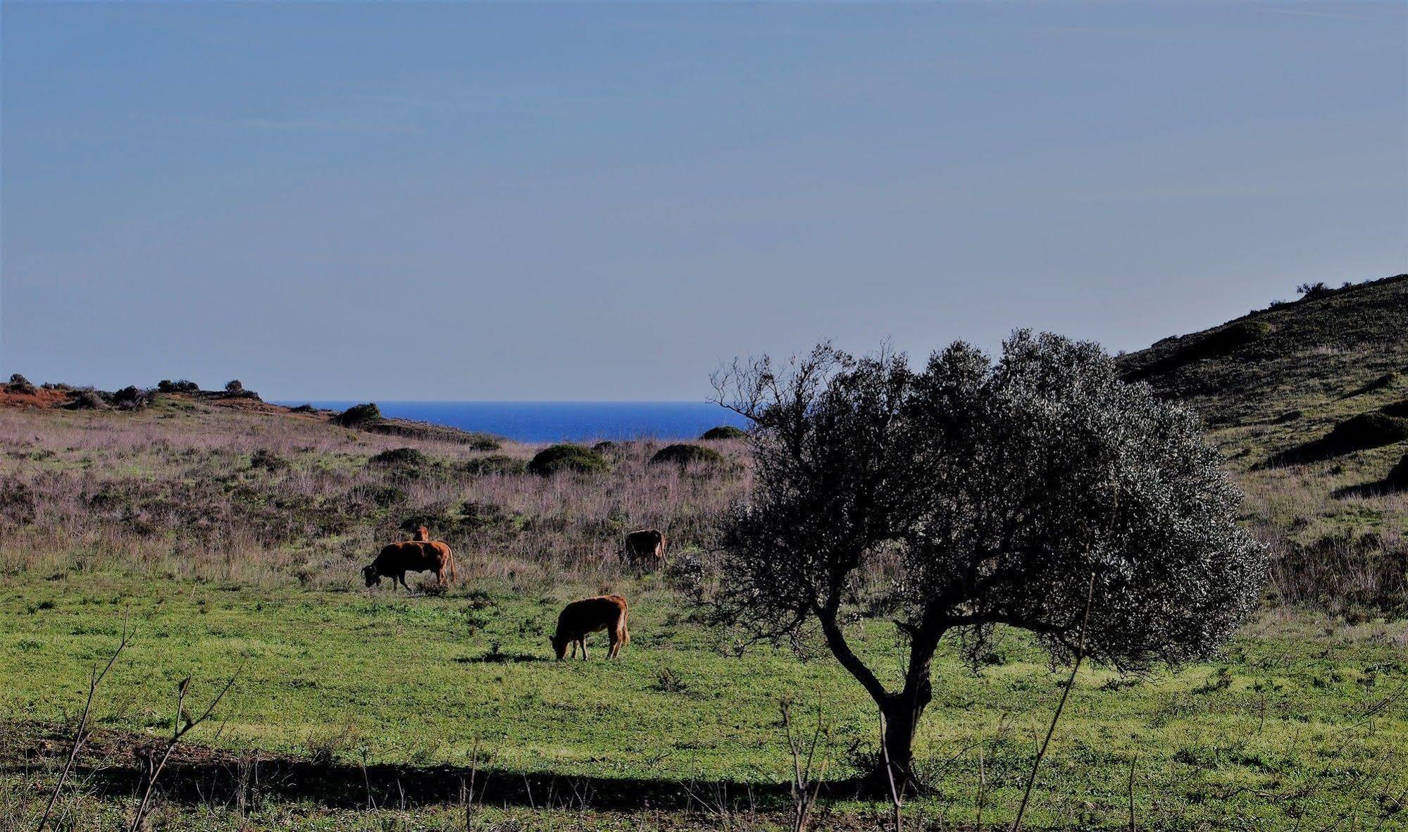 Hotel Turismo De Natureza Burgau