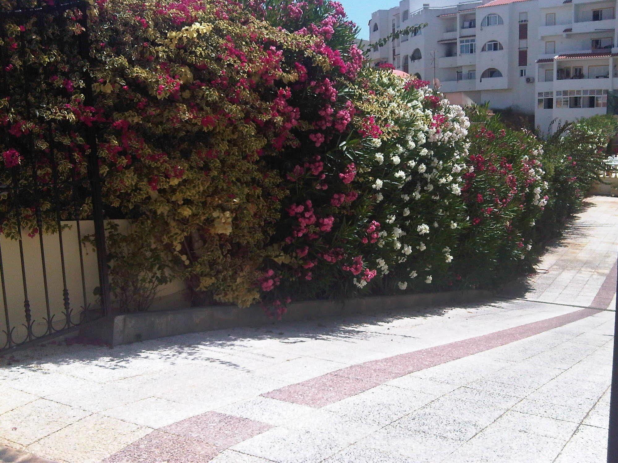 Marina Sol 2*