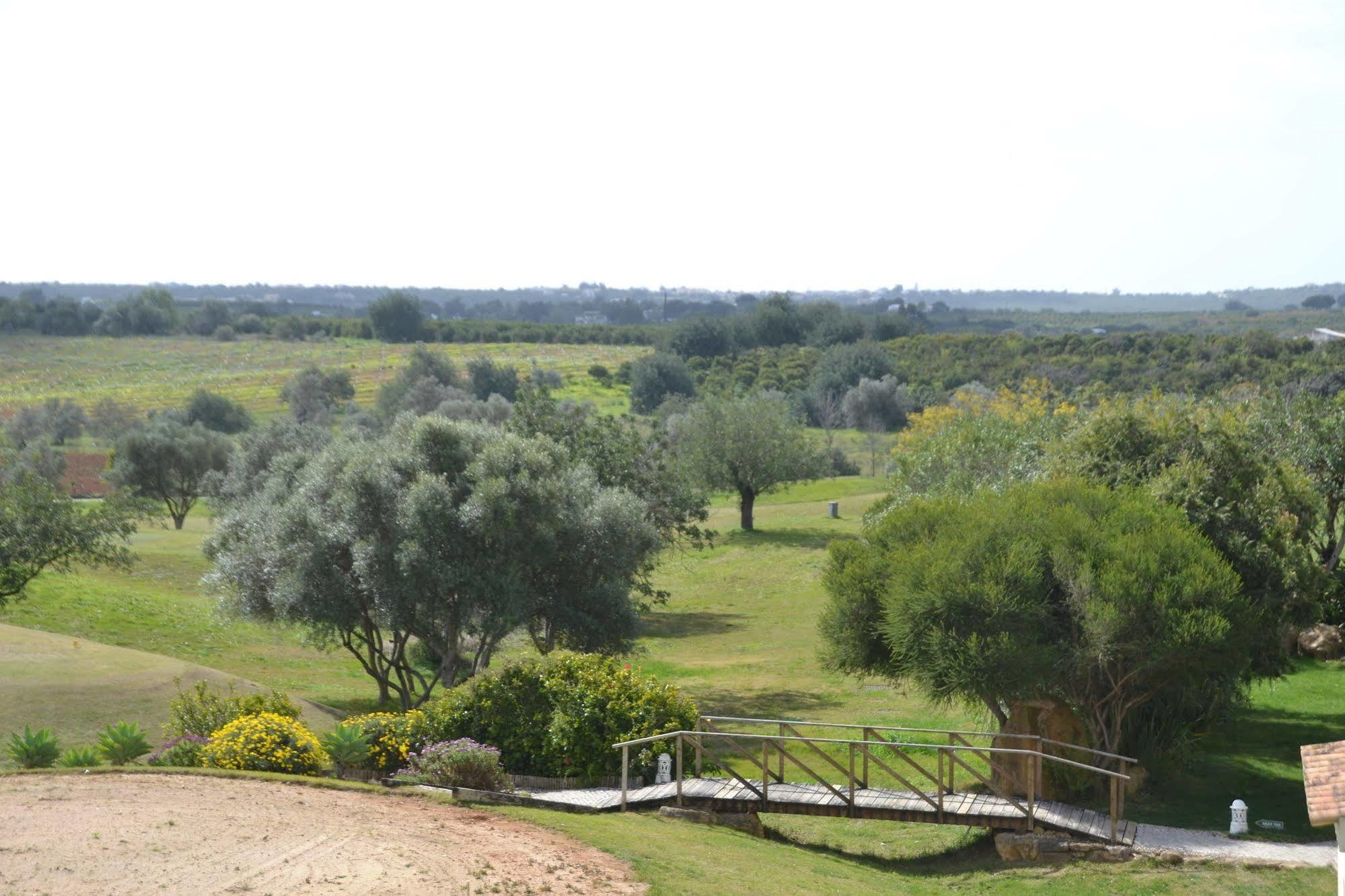 Colina Moncarapacho