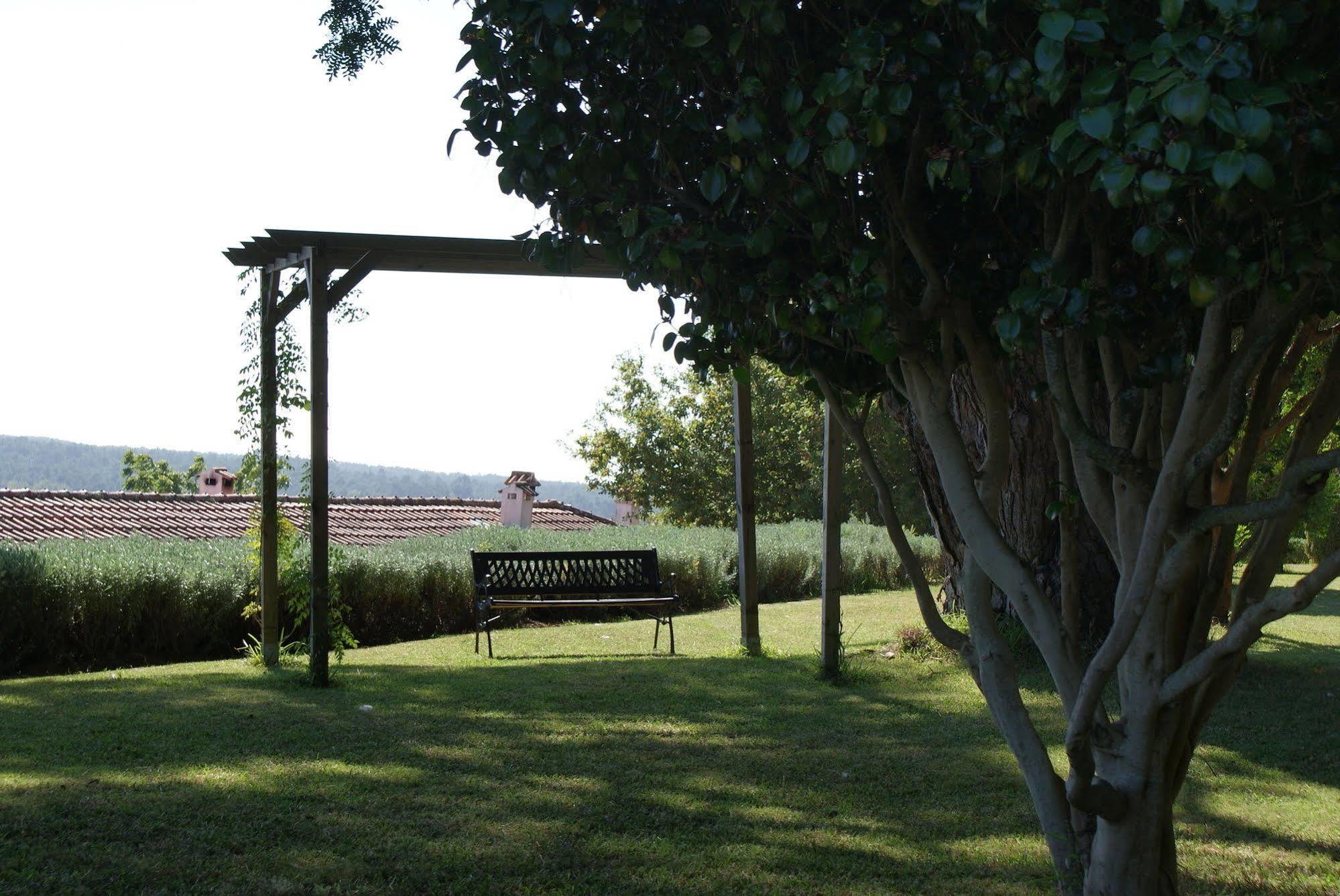 Quinta Do Paco D'anha Country house *