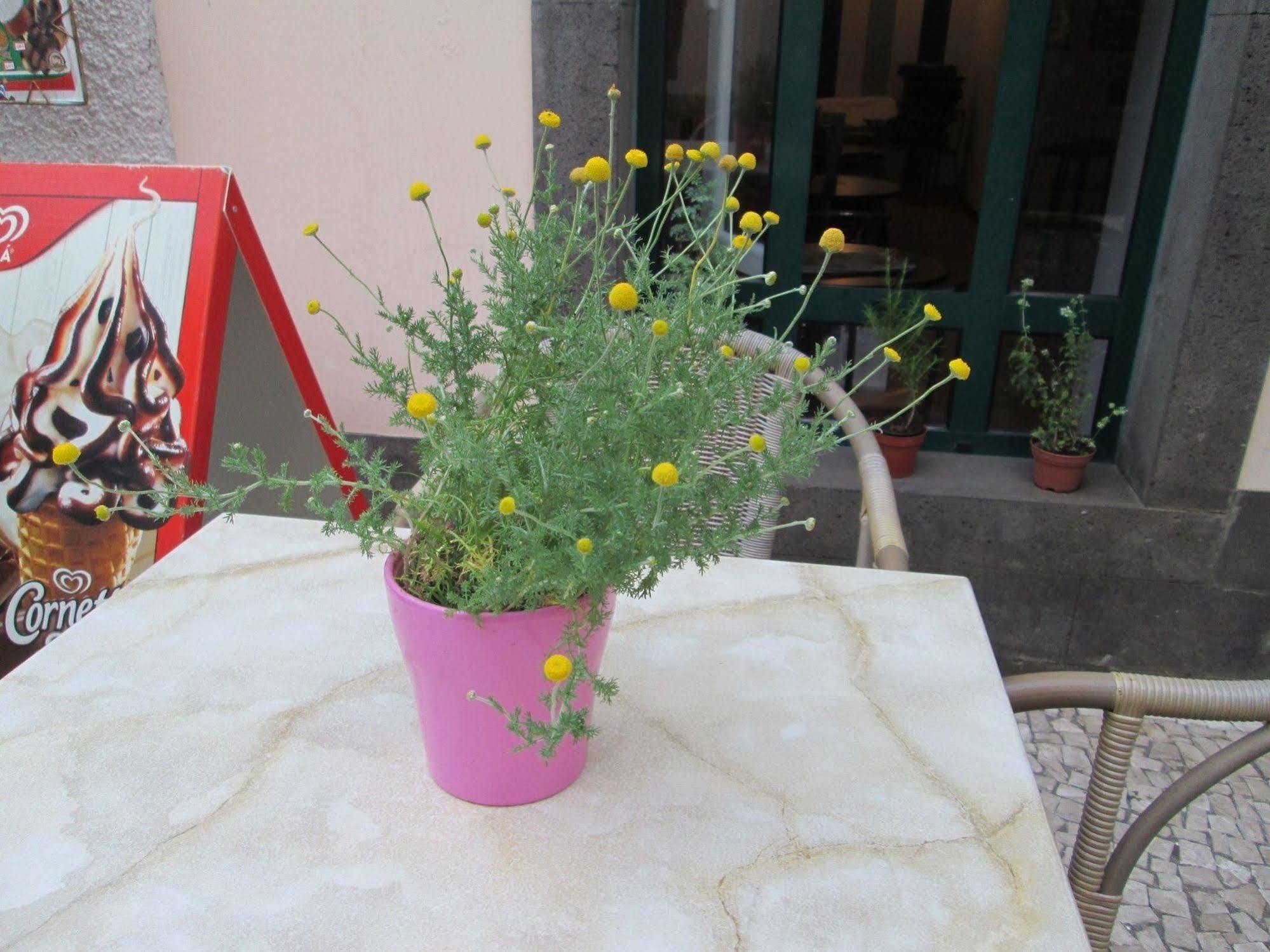Amparo Hotel
