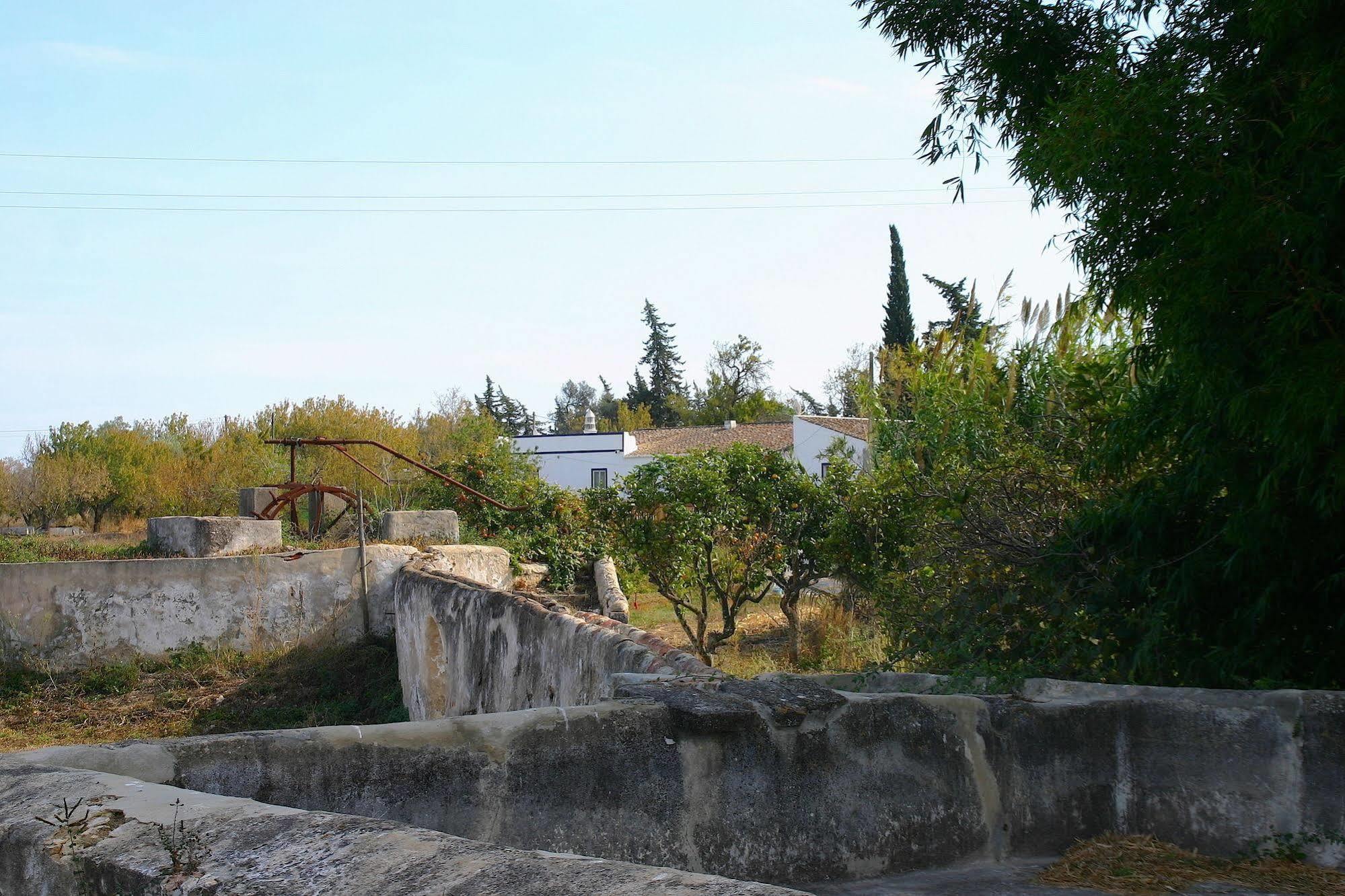 Guest house Quintinha Da Foz Sao Pedro (Algarve)