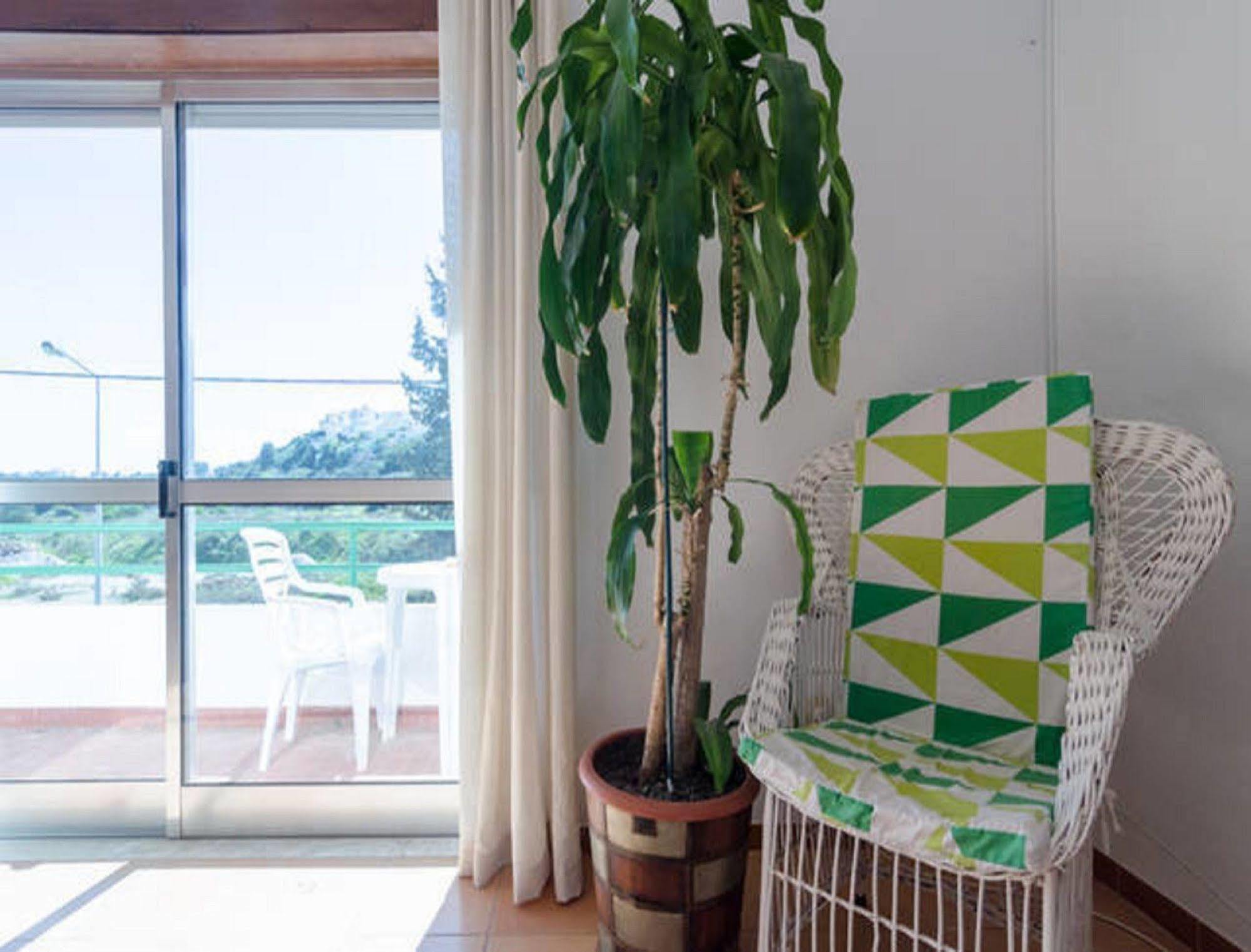 Guest house Vale Do Sol
