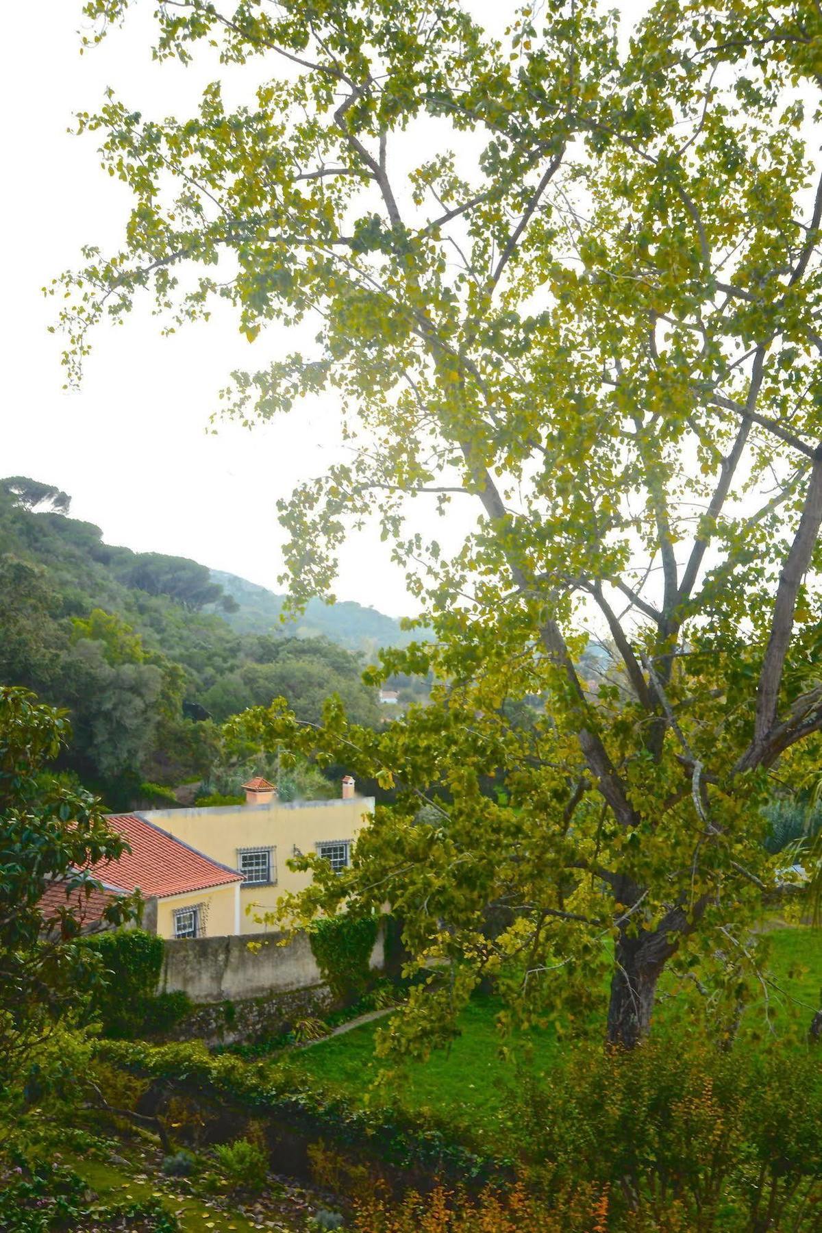 Quinta De Sao Tadeu Guest house