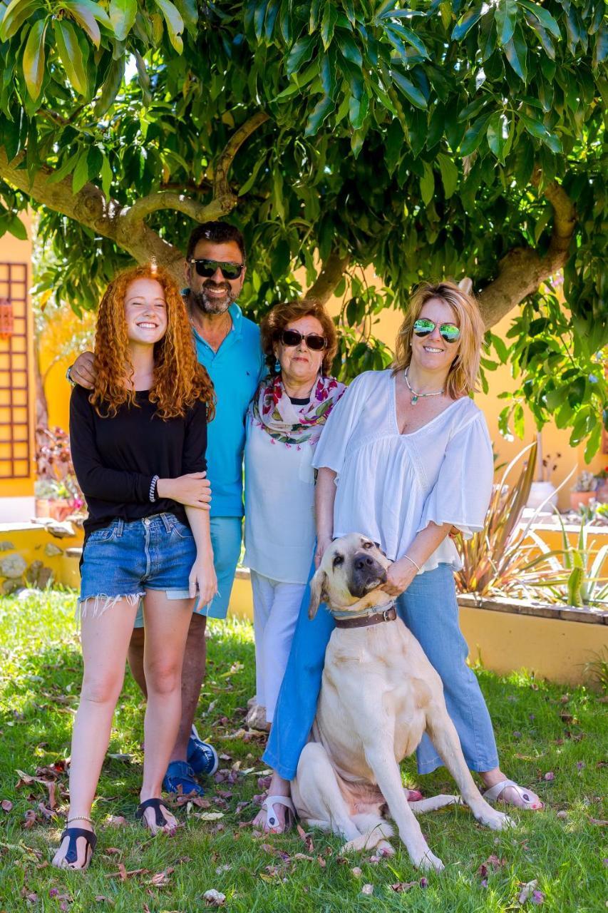 Farm stay Quinta Almargem Lusitano -