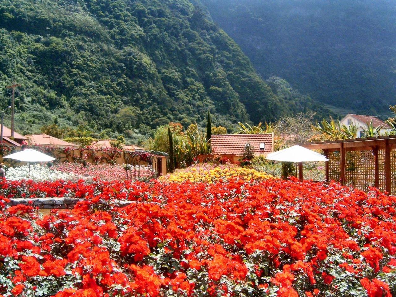 Holiday park Pestana Quinta Do Arco Nature & Rose Garden 4*
