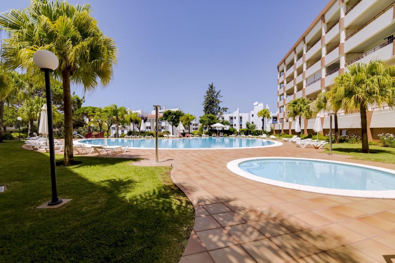 Avelas - Modern -