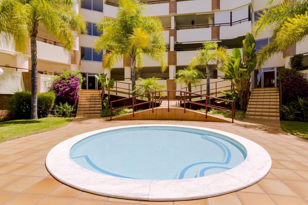 Avelas - Modern - Apartment