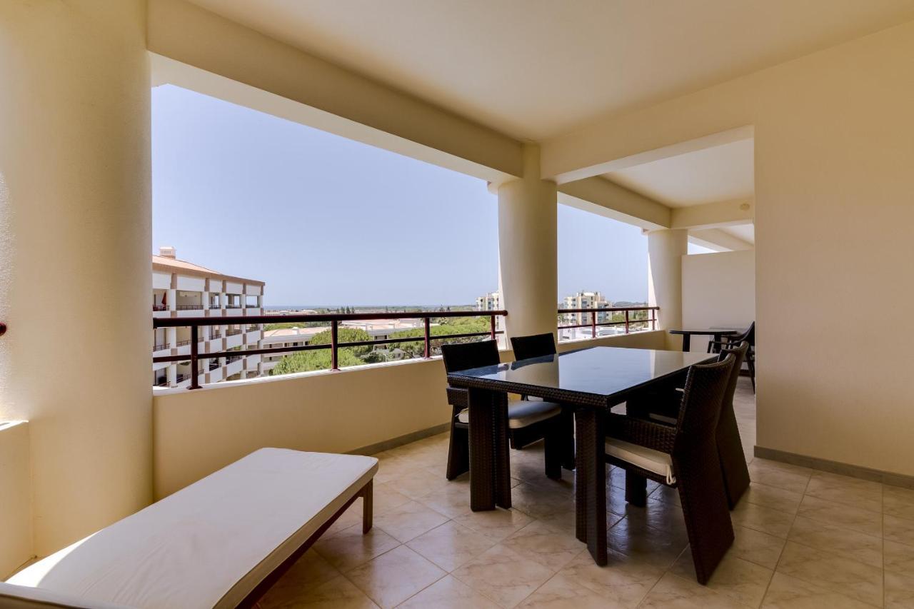 Avelas - Modern - *