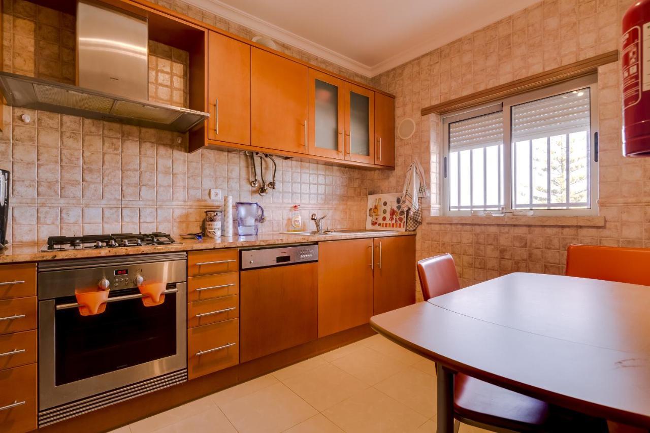 Avelas - Modern - *