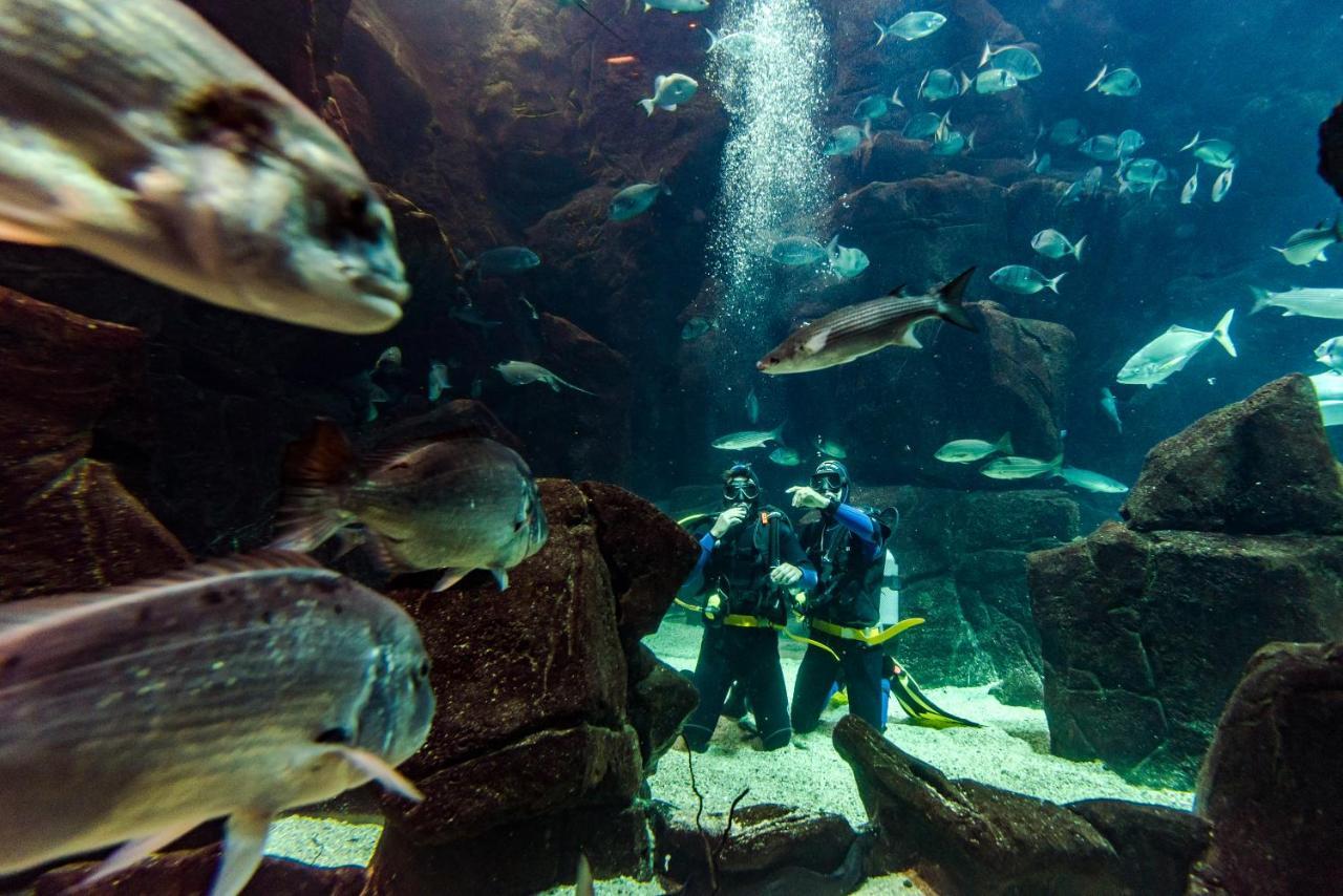 Hotel Aqua Natura Madeira