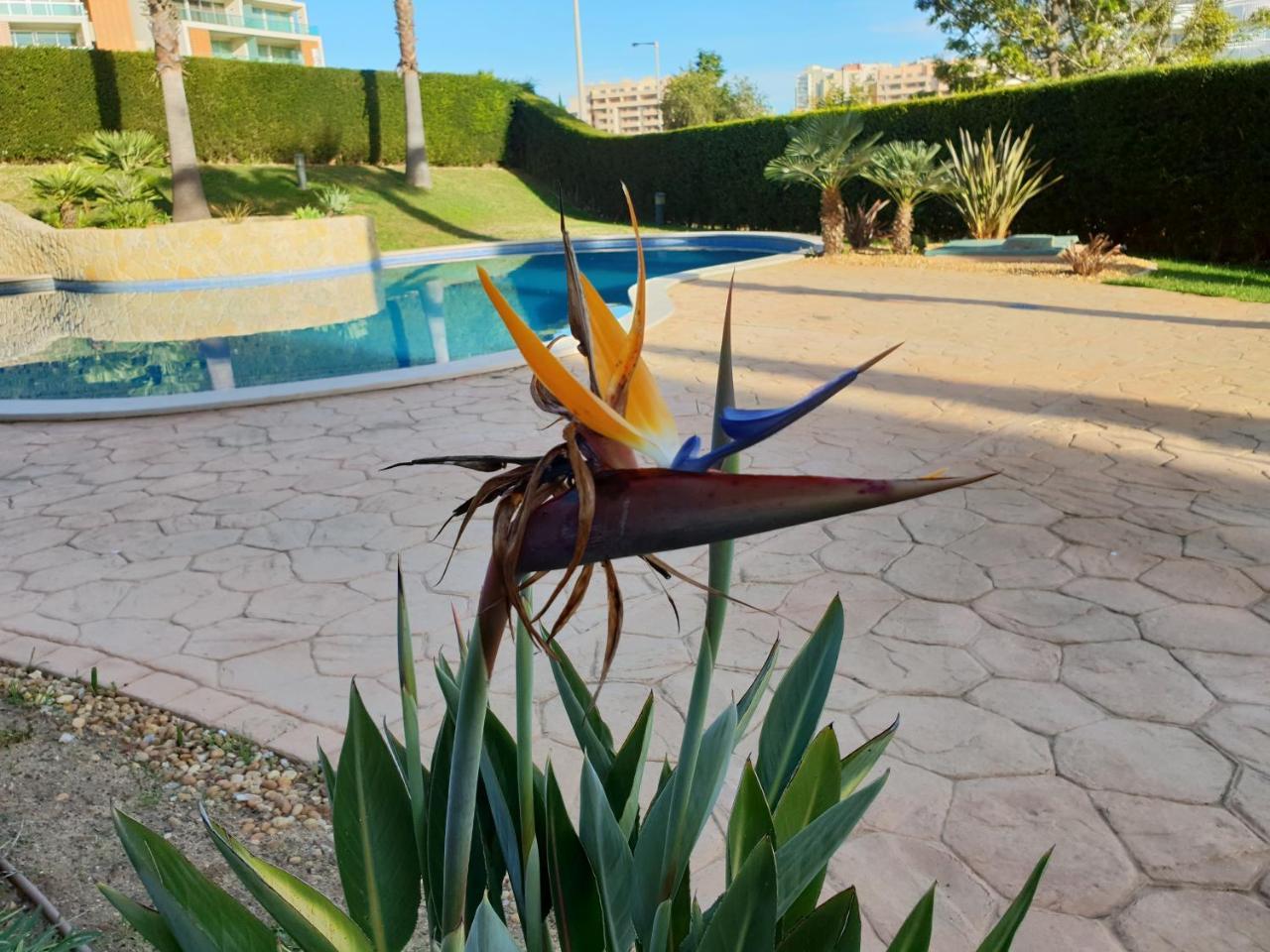 Appartement Litoral Mar