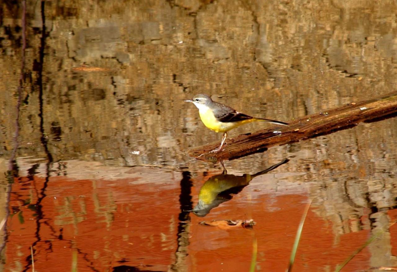 Turismo De Natureza 3*