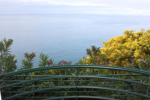 Apartment Lobos Bay *