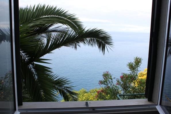 Lobos Bay Apartment Camara de Lobos
