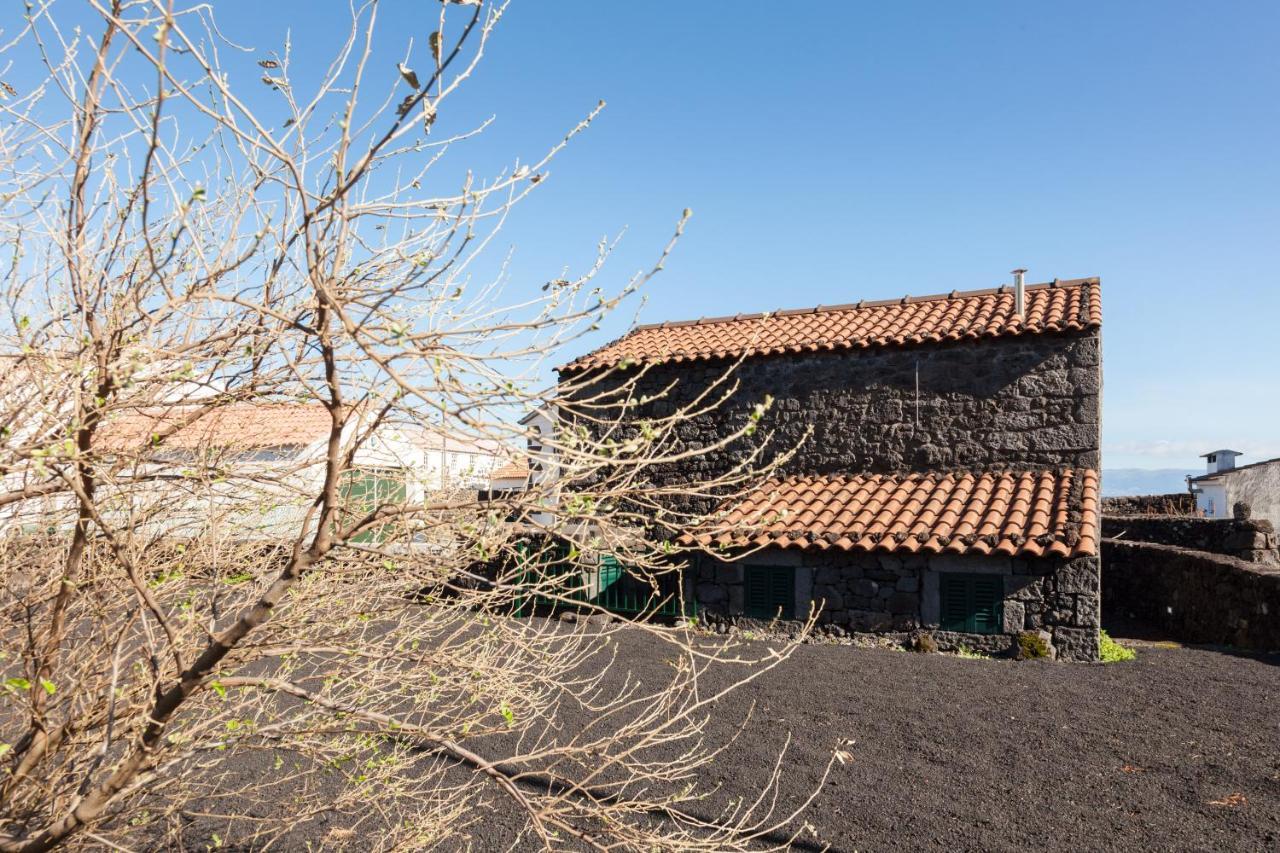 Casa de férias Adega Do Boqueirao
