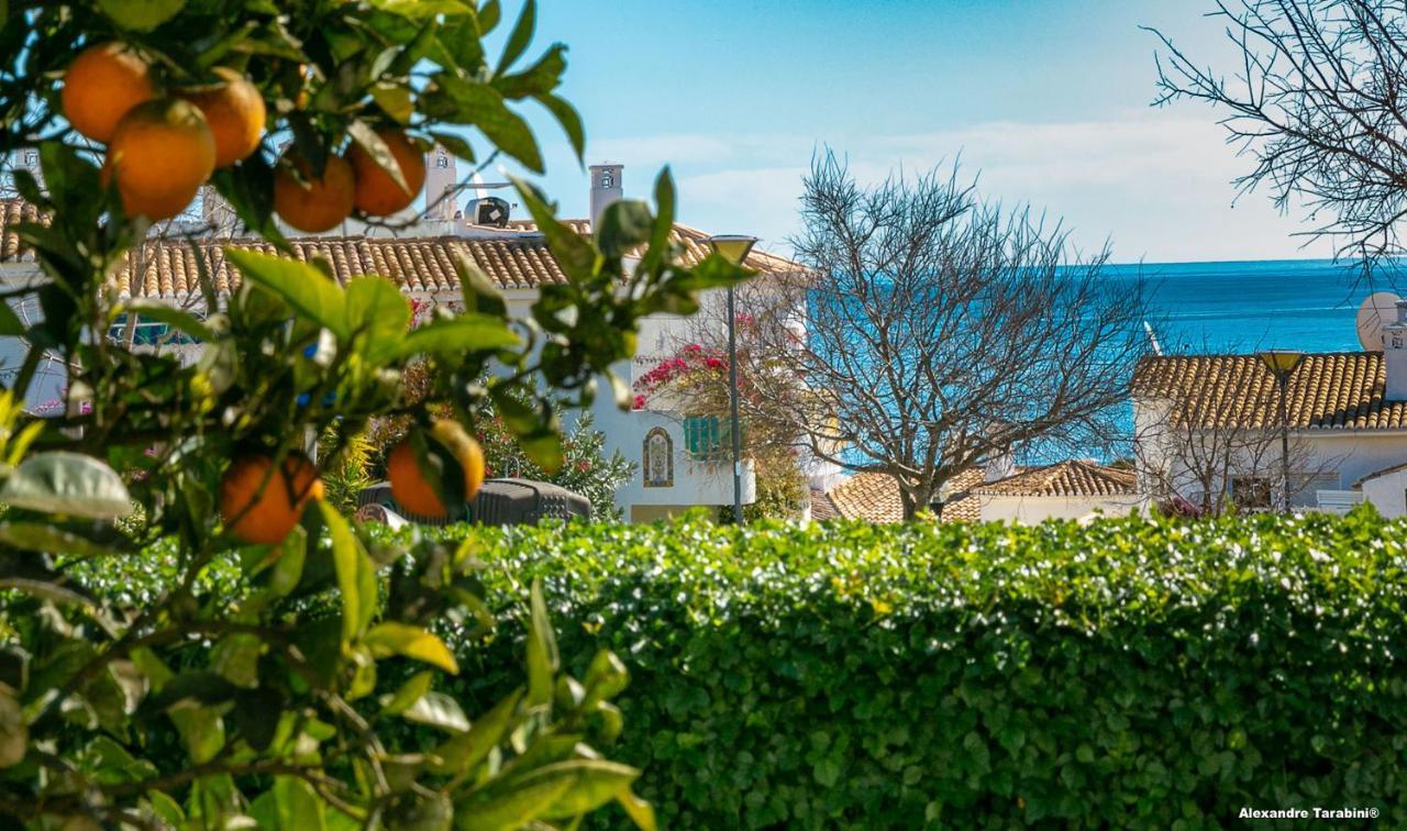 C12 - Sunshine In * Praia Da Luz