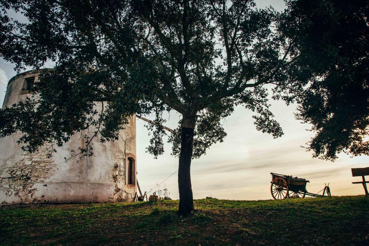 Moinhos Do Paneiro Bed & Breakfast