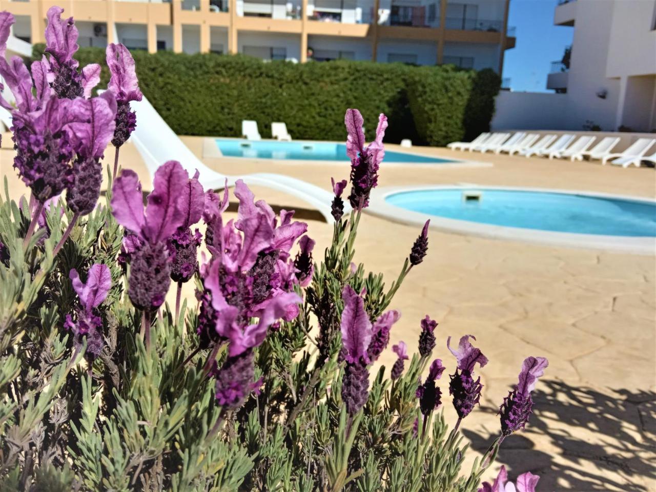 Apartment Via Dona Ana