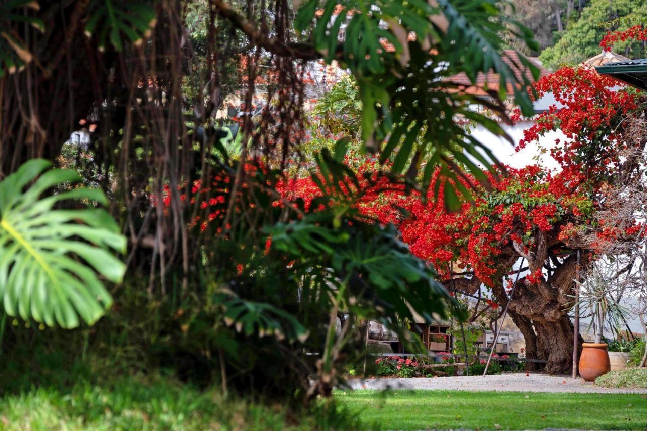 Ourmadeira - Loja Da Lenha, Charming Appartement