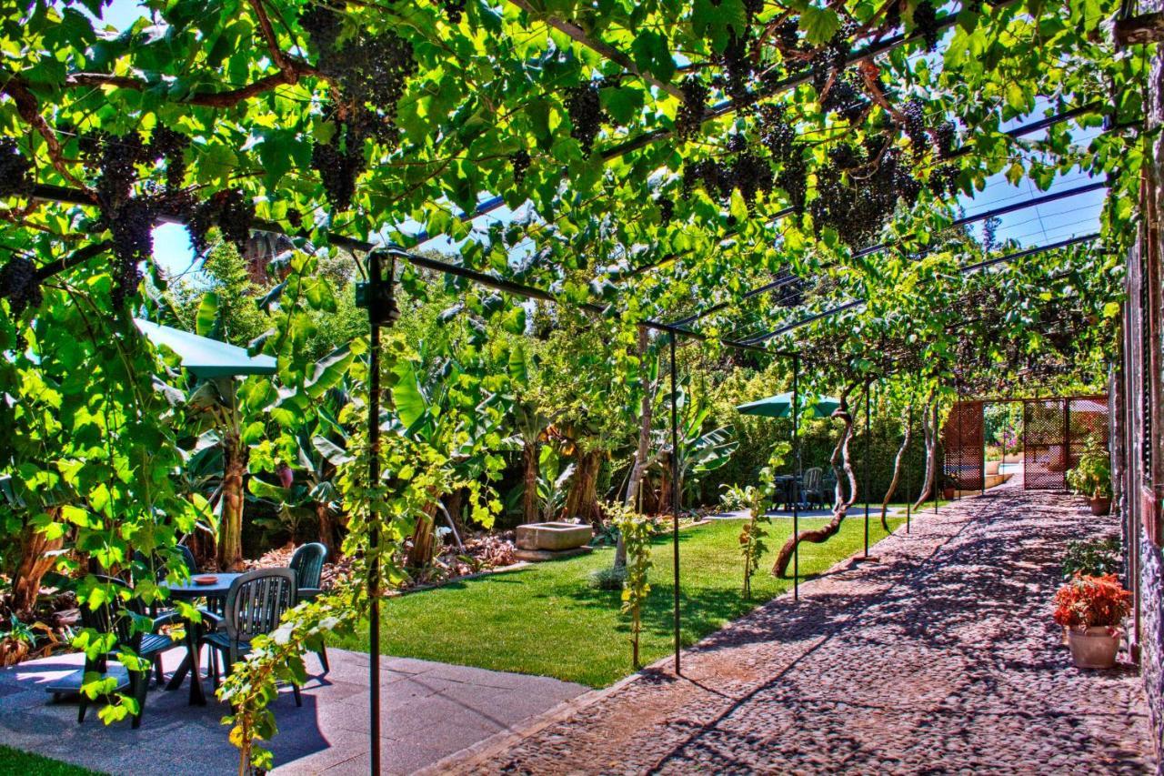 Ourmadeira - Loja Da Lenha, Charming Appartement *